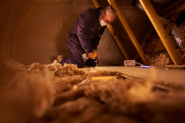 Best Local Insulation Services  in Twinsburg, OH